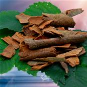 Cannelle Bio - Cinnamomum cassiae - 25g