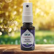 Deva - Composé Floral Dr Bach - Nuits Paisibles N.2 - Spray 15ml