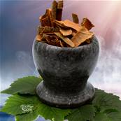 Cannelle Bio - Cinnamomum cassiae - 1kg
