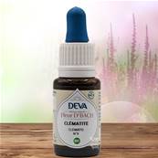 Deva - Fleur du Dr Bach - Clmatite N.9 - Compte gouttes 15ml