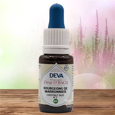 Deva - Fleur du Dr Bach - Bourgeons de Marronnier N.7 - Compte gouttes 15ml