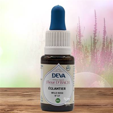 Deva - Fleur du Dr Bach - Églantier N.37 - Compte gouttes 15ml