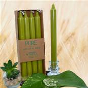 Bougie Longue Vert Olive 10h Pure Candle Bote de 4