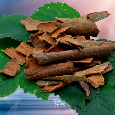 Cannelle Bio - Cinnamomum cassiae - 100g