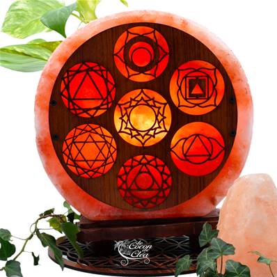 Lampe en véritable Sel de l'Himalaya Décoration Bois - Chakras 5 kg