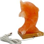 Lampe en véritable Sel de l'Himalaya USB - Dauphin 900g