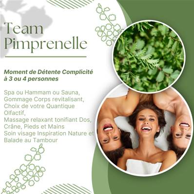Team Pimprenelle - Soin Trio 2h00